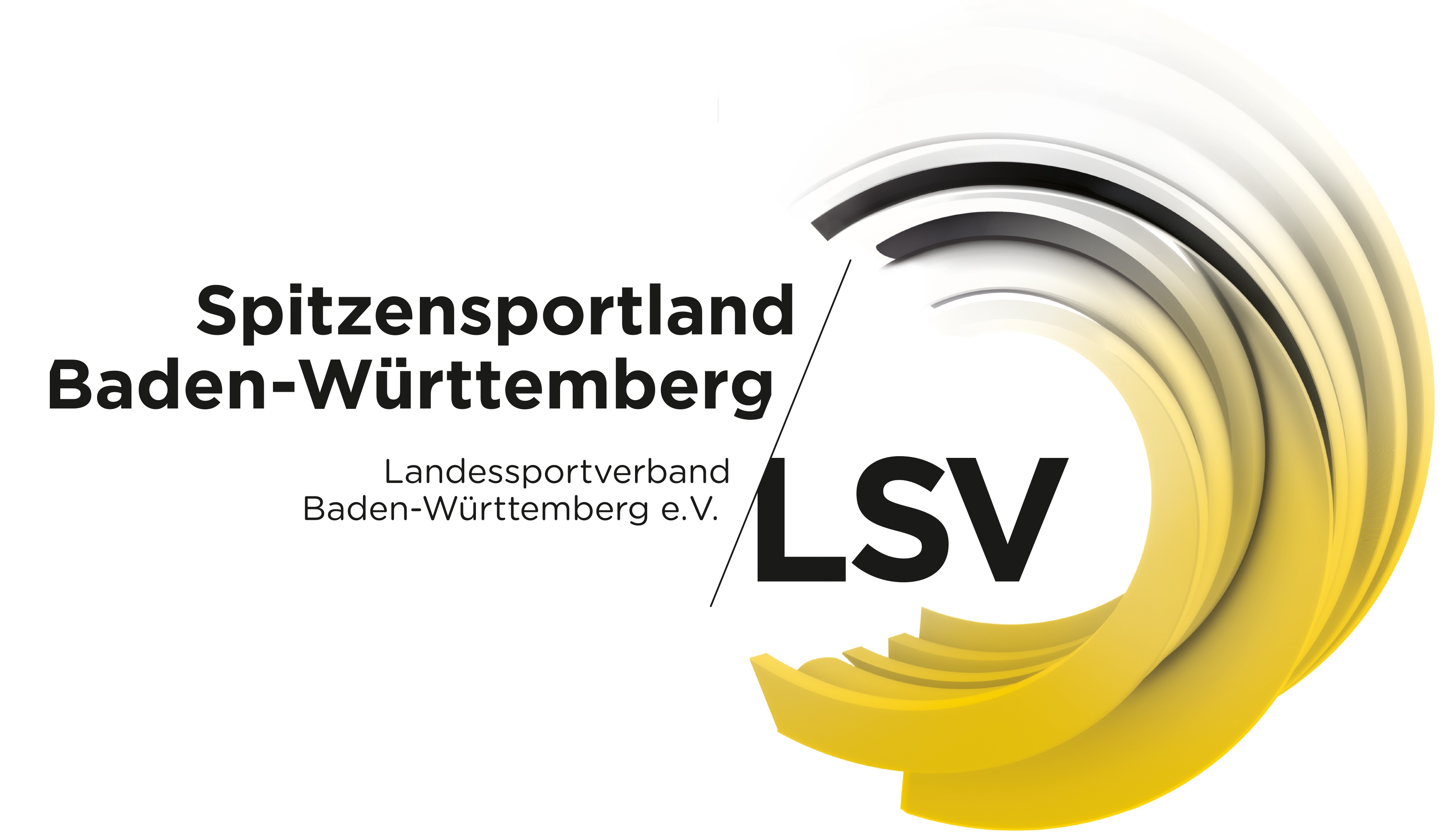 Logo LSV